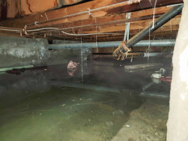 Best Water damage mitigation services  in Strathmore, NJ