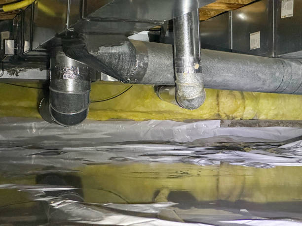 Best Basement water damage restoration  in Strathmore, NJ