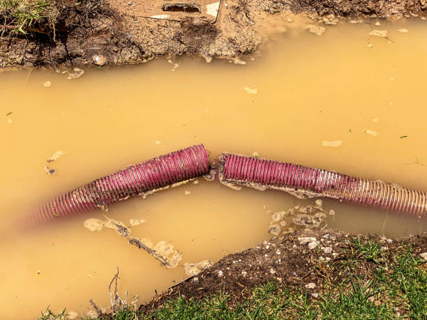 Best Emergency water damage restoration  in Strathmore, NJ