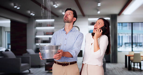 Best Ceiling water damage repair  in Strathmore, NJ