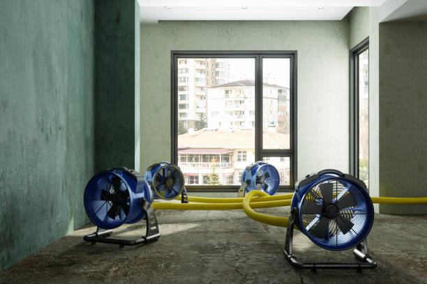 Best Mold removal after water damage  in Strathmore, NJ